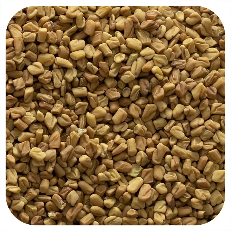 Frontier Co-op, Whole Fenugreek Seed, 16 oz (453 g)